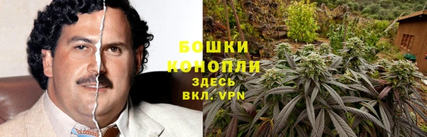 соль ск Щигры