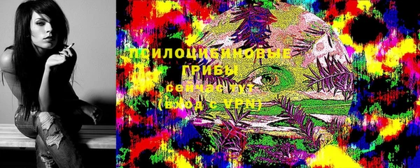 не бодяженный Щучье